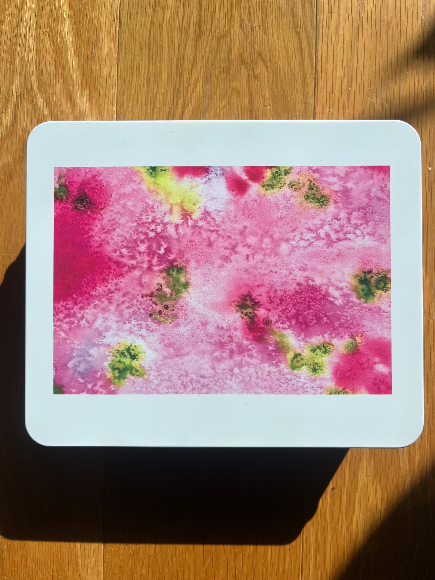 *NEW* jigsaw puzzle (1000 piece)